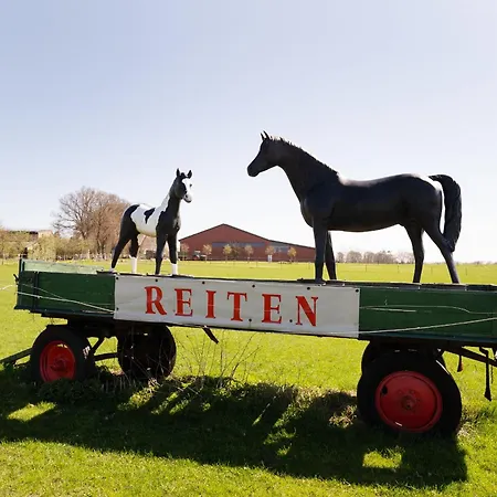 Reiterhof Rickert Steigbuegel Casa de Férias Meeschendorf